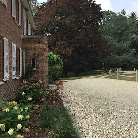 La Gallinette
